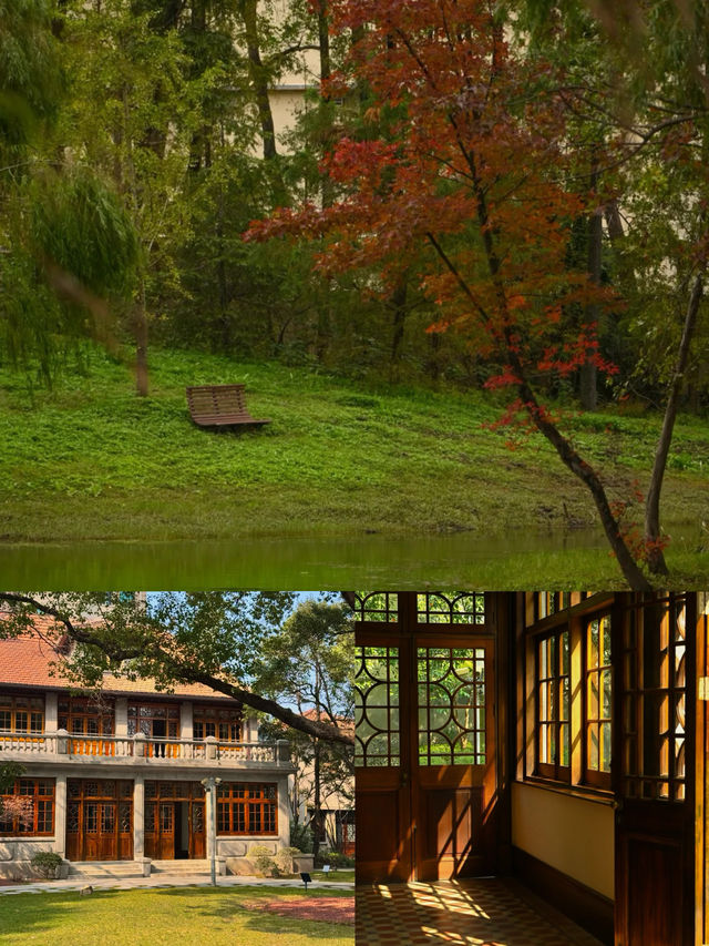 上海是一個巨大的公園… 上海是一個巨大的公園…