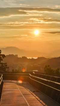 城市森林漫步天花板
