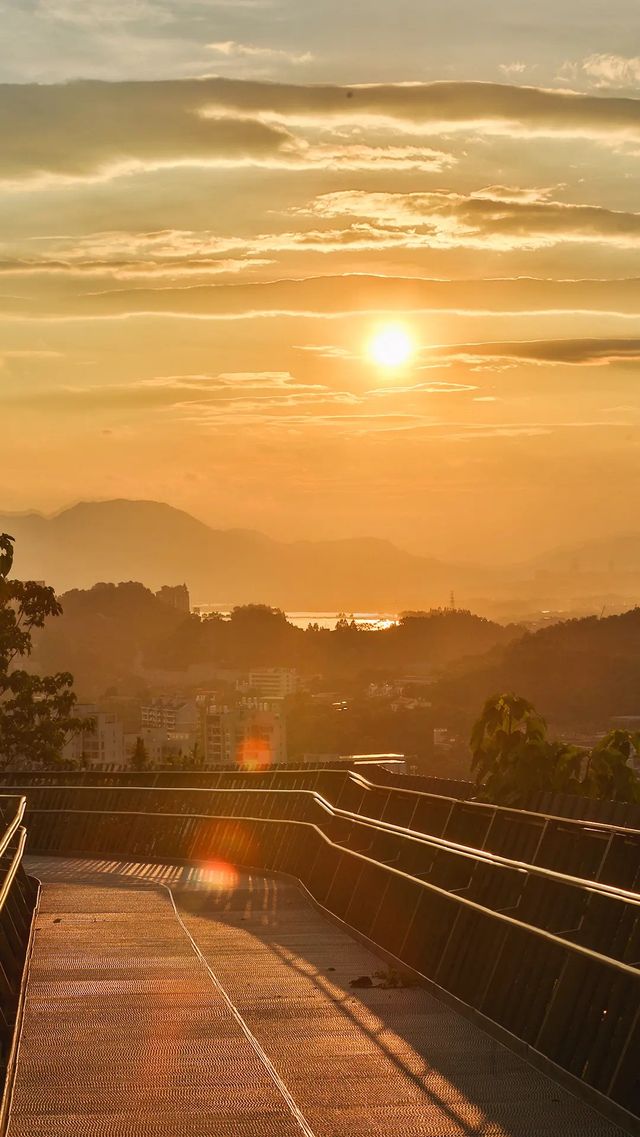 城市森林漫步天花板