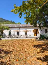 婺源秋色獨家攻略就在銀杏谷民宿