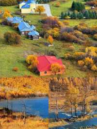 赴一場大興安嶺的秋日之約，把浪漫染成金黃