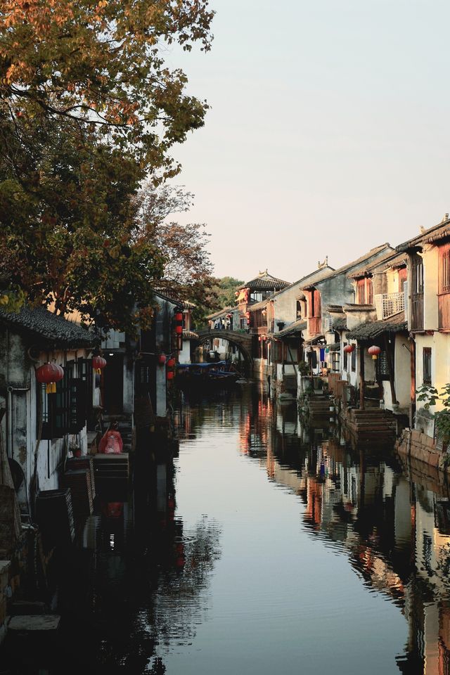 秋天總要帶娃去一次水鄉第一古鎮