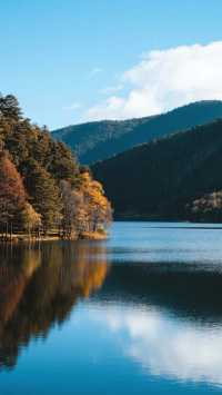 11月的香格里拉三天兩晚，旅行攻略！  十一月的香格里拉， 秋色未盡，初雪已落， 普達措的屬都湖倒映