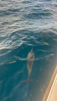 Convenient Shopping Hub on Kuhio Avenue