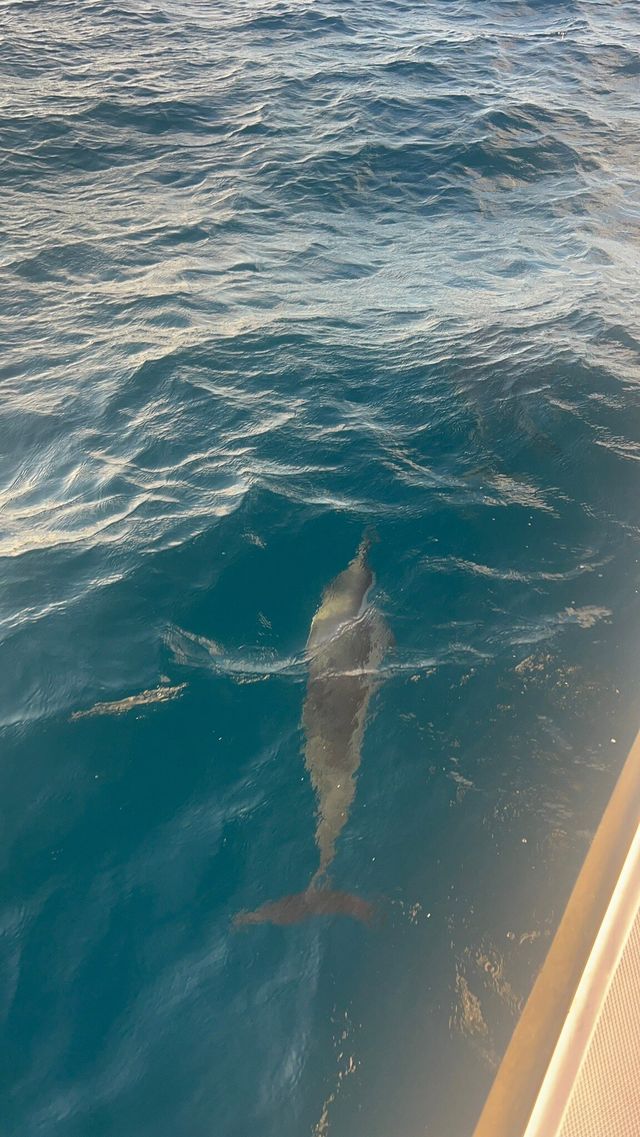 Convenient Shopping Hub on Kuhio Avenue