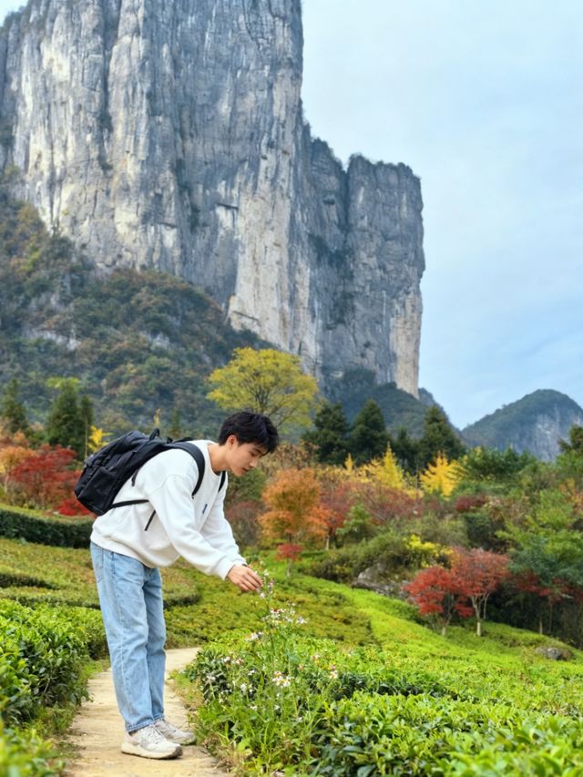 恩施大峽谷遊玩實測！和張家界比到底差在哪？   寶子們！之前一直聽說恩施名字自帶“仙氣”，滿懷期待去