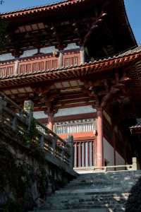 【長安荔枝香山遊，禪意旅途正當時】