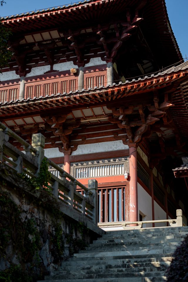 【長安荔枝香山遊，禪意旅途正當時】