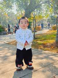 解鎖金陵秋日限定浪漫