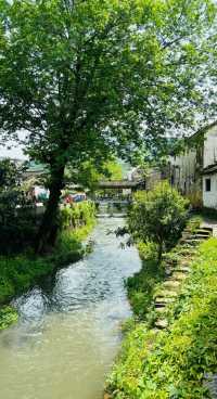 杭州龍門古鎮:景色醉人的江南秘境