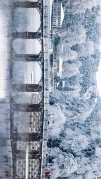 廬山冬日仙境｜必拍如琴湖的唯美雪景