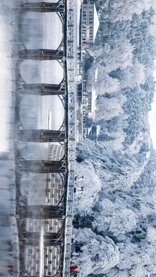 廬山冬日仙境｜必拍如琴湖的唯美雪景