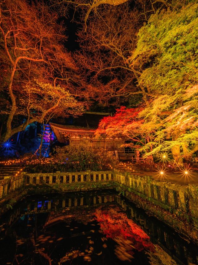 爆美！！！奈良室生寺紅葉燈光展·小眾秘境打卡指南