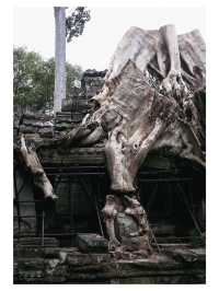 6天玩轉柬埔寨這份攻略閉眼跟