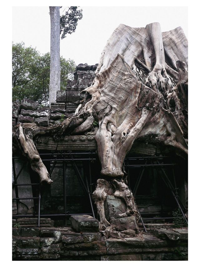 6天玩轉柬埔寨這份攻略閉眼跟