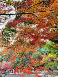 長沙迎來封神的秋天，這些地方真的超美！