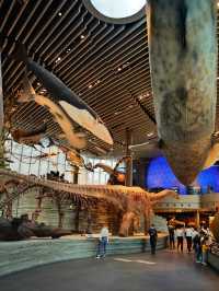 Самый красивый Шанхайский музей природы 🦖🇨🇳