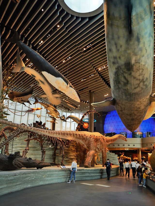 Самый красивый Шанхайский музей природы 🦖🇨🇳