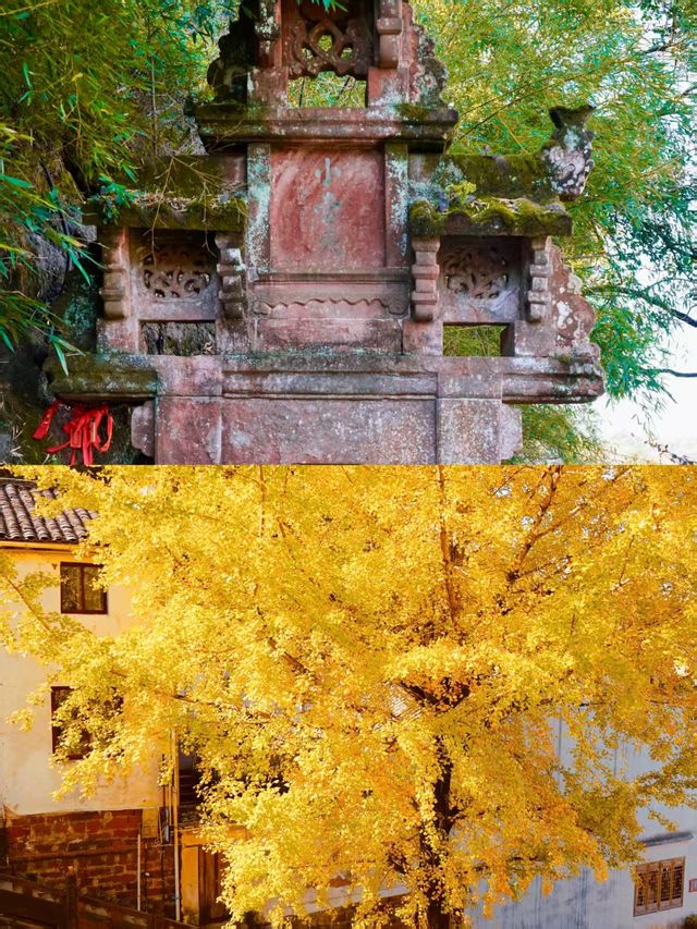 別卷黃山了!這座40公里外的隱世仙山,秋意封神 別卷黃山了!這座40公里外的隱世仙山,秋意封神