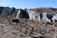 墨石公園神級遊玩攻略!
