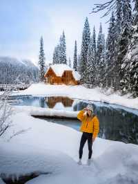 暢玩班夫幽鶴賈斯珀！6人純玩團住雪景木屋