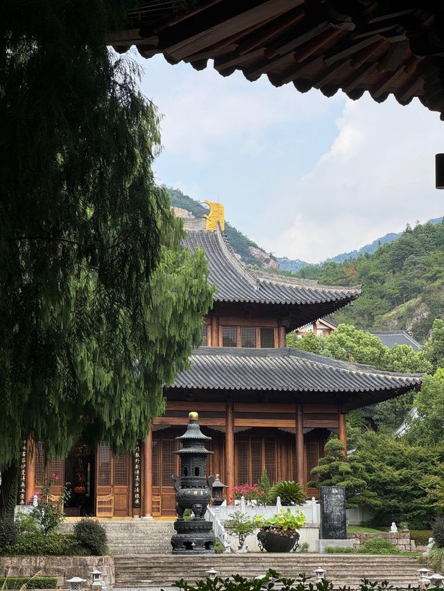 【三天兩晚九華山禪意之旅】1800元朝聖蓮花佛國！雲海古寺+肉身菩薩深度攻略行程亮點： 核
