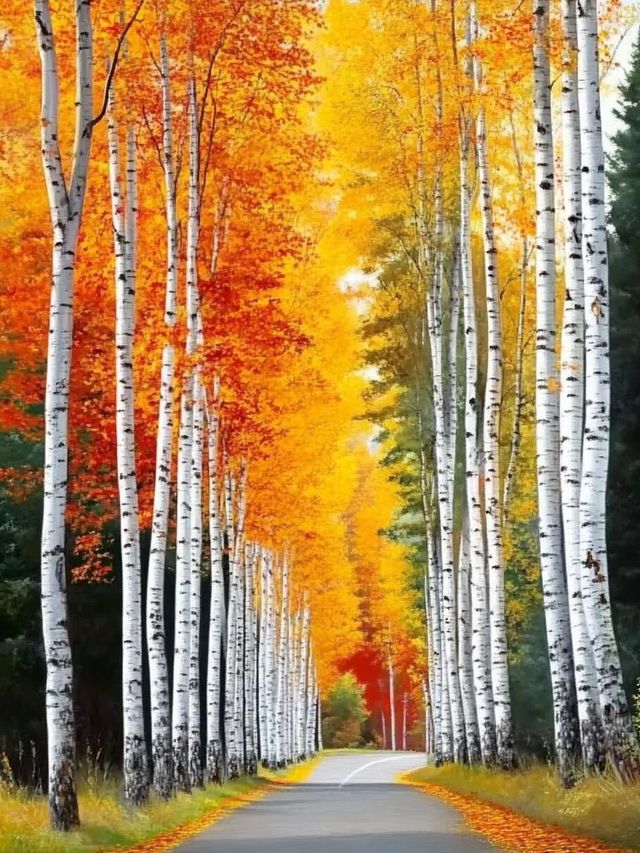 大興安嶺五天四夜奇幻之旅 大興安嶺五天四夜奇幻之旅