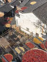 篁嶺秋色已達巔峰!千萬別錯過!