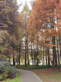 貴陽初冬·唯一想去無數次的公園