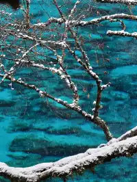 11.20九寨溝現狀，真心提醒未出行的寶