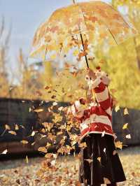 留住秋天的一百種方式