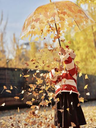 One Hundred Ways to Capture Autumn