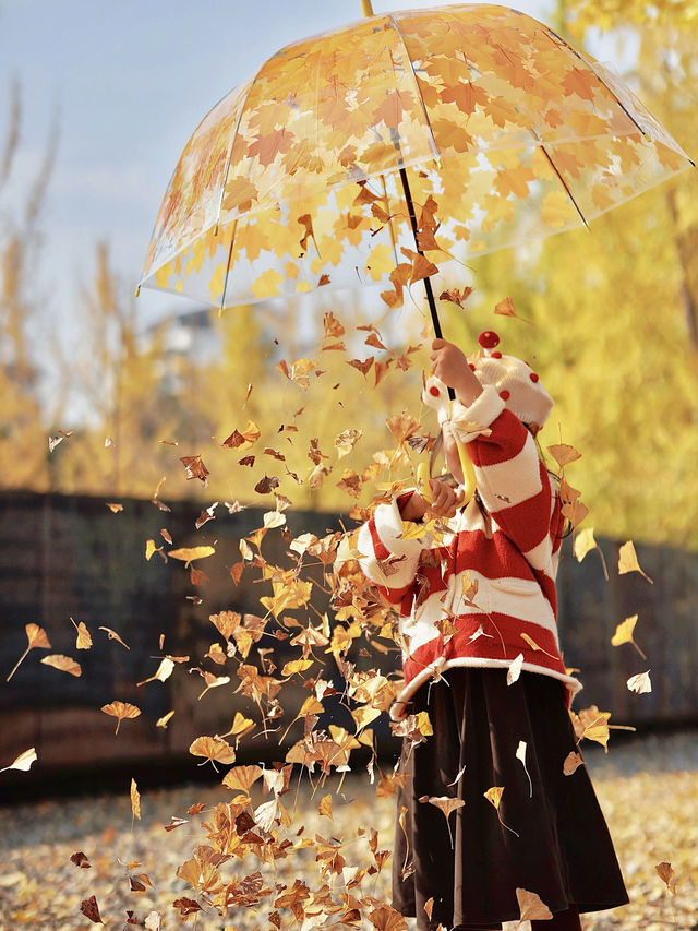 留住秋天的一百種方式