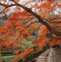 湖州冬日漫遊指南｜周邊5個寶藏地，藏著江南最暖的冬韻