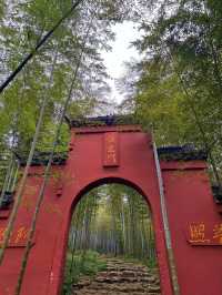 太華山秋冬奇遇：竹海仙氣與酸腿並存！