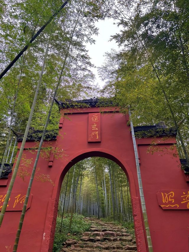 太華山秋冬奇遇：竹海仙氣與酸腿並存！