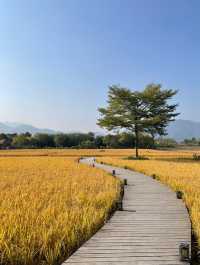 稻田民宿私湯指南