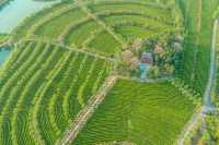 南昌作為歷史文化名城,擁有眾多著名旅遊景點。我從歷史文化價值