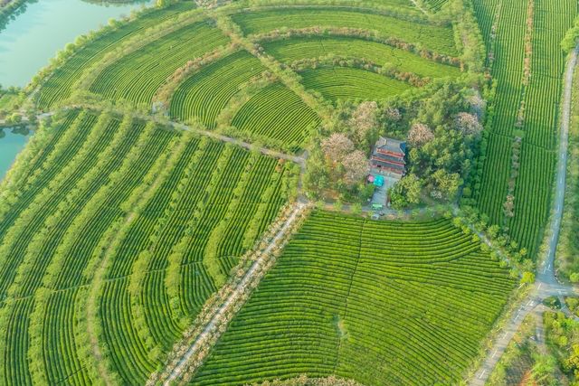 南昌作為歷史文化名城,擁有眾多著名旅遊景點。我從歷史文化價值 南昌作為歷史文化名城,擁有眾多著名旅遊景點。我從歷史文化價值