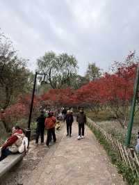 長沙 / 岳麓山景區