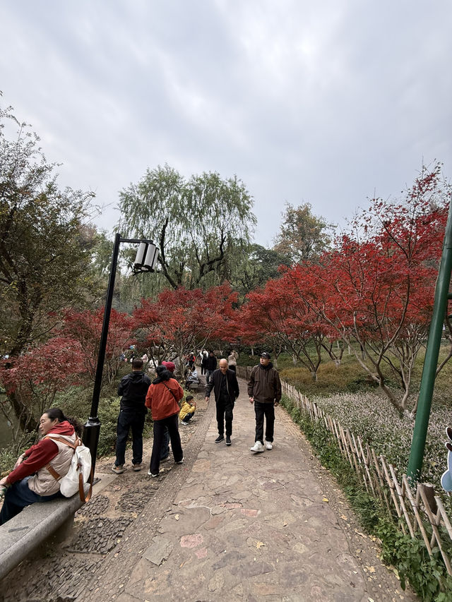 長沙 / 岳麓山景區 長沙 / 岳麓山景區