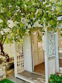 深圳絕美法式小花園!一秒穿越浪漫巴黎