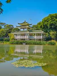 去一萬次都不夠！深圳我最愛的治癒系公園！