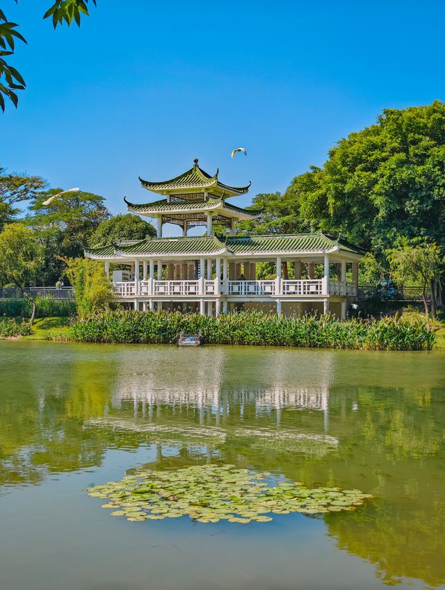 去一萬次都不夠！深圳我最愛的治癒系公園！