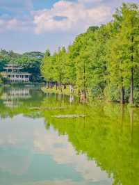 去一萬次都不夠！深圳我最愛的治癒系公園！