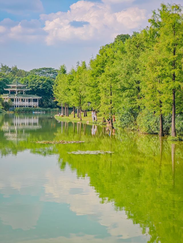 去一萬次都不夠！深圳我最愛的治癒系公園！