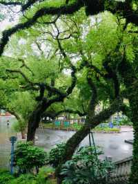 原來佛山都有中山公園?