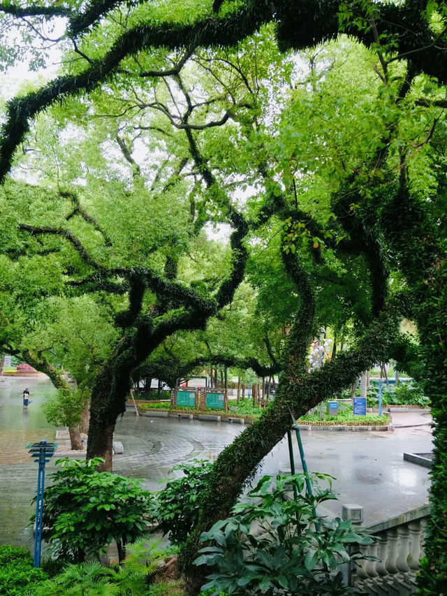 原來佛山都有中山公園? 原來佛山都有中山公園?