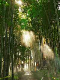 秋日魔都光影秘境