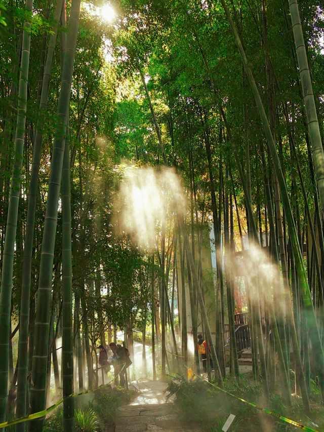 秋日魔都光影秘境